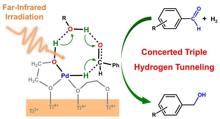 室温下多重协同氢隧穿主导的多相催化加氢